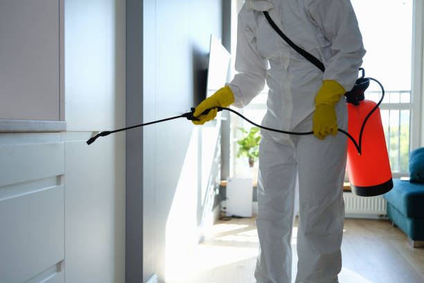 Best Office Mold Removal Services  in Hackettstown, NJ