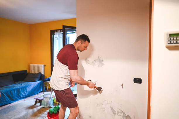 Best Certified Mold Removal  in Hackettstown, NJ